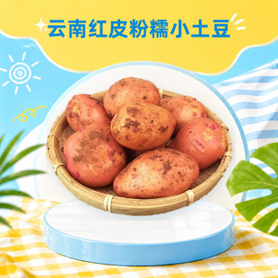 ��ϼtƤ��ŴС���� ���l���l3/5/9���S����Ŵ�����������r�߲�