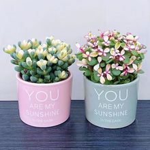 ֦~⻨ֲ҃ȺBСŘ֮Ϙw