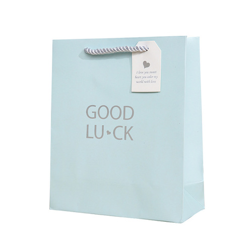 GIFT BAGS FOR BIRTHDAY, NEW YEAR, VALENTINE'S DAY - PERFECT FOR HANDOUT GIFTS, PERFUME, LIPSTICK AND OTHER PRESENTS WITH CARRY BAG