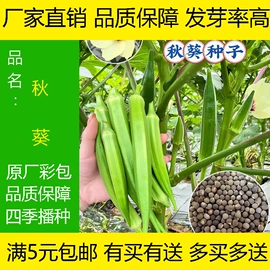 蔬菜种子;一二年生花卉;粮食作物种子
