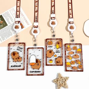 �W�����w����У�@���T��IC�����۶���Ƭ���o���C����͸���F�첱؛