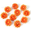 Small sun flower