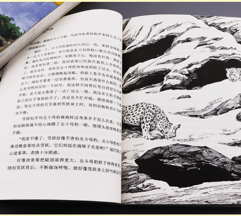 雪豹悲歌 沈石溪动物小说品藏书系升级版 小学生课外阅读书籍6-12