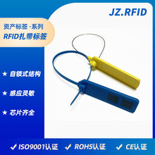 厂家定制高档服装货物防伪UHF管理标签 一次性rfid扎带式电子标签