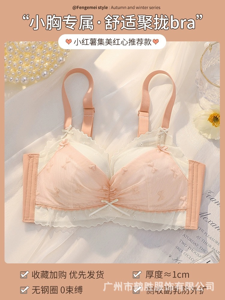 Venta directa de fábrica comercio electrónico transfronterizo Sudeste de Asia Vietnam Tailandia damas sin costuras sujetador de recogida lateral cómodo