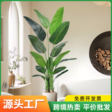 �羳����Gֲ���˽�ɢβ���{��������b߼����ϙ���ֲ�����l