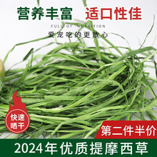 2024��������Ħ�����������r��؈���m�i������ӳԵ�