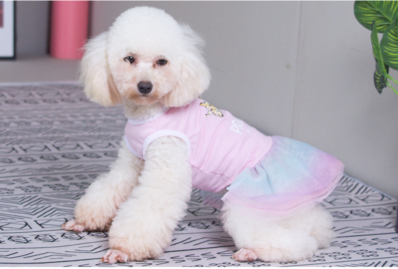 Ropa De Moda Para Mascotas Vestido De Verano De Malla Mullida display picture 4