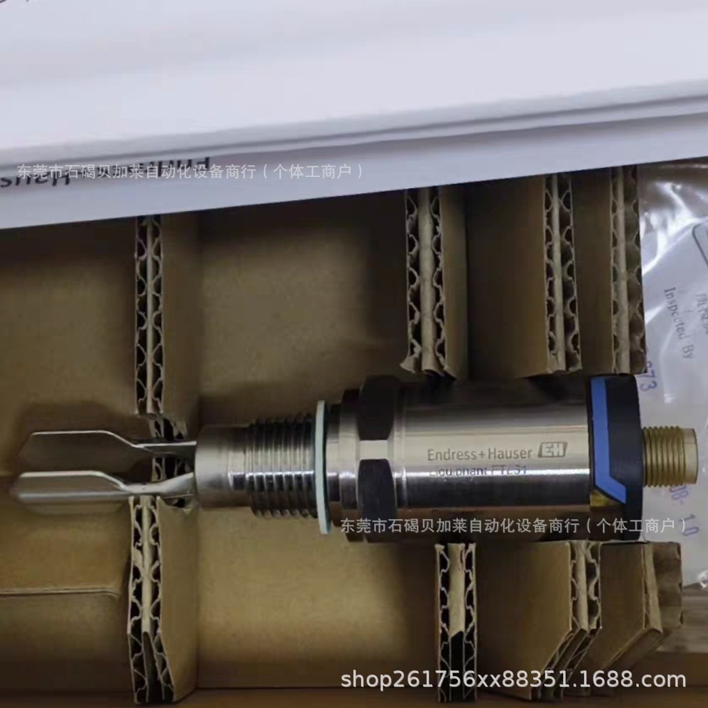 E+H音叉液位开关 FTL31-AA4M2AAWBJ FTL20-012B