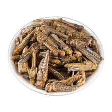 ���x�� Λ�Ƹ����� ����x �N�� �� ����B���500�� �S��ֱ�N