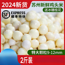 �K���u�^�����r�ش��w��2���b�͌��Č��K���r�Ҷ����ք���؛