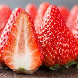 云南商用草莓新鲜现摘10斤四季酸甜夏双流糖葫芦蛋糕烘焙专用发批