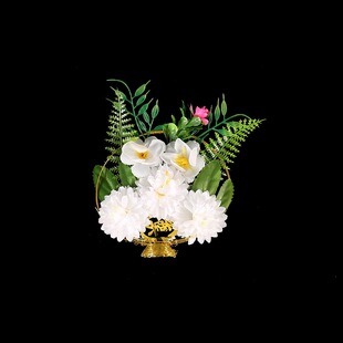 ����С��Ȧ�F�zԪ����Ȧ���@��܉�����S��Ʒ�Ĵ�ǻҺ�ǰ�[�����l