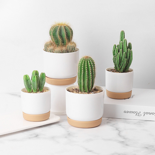 Mengxuan Ceramic Plastic Small Flower Pot Lazy Self-watering Water Storage Round Double-layer Succulent and Pothos Plant Pot
