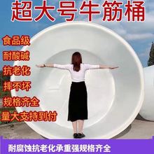 ʳƷ���Ӻ�ţ�����ψAͰ���ˮͰ���Ͱ����Ͱϴ��Ͱ�l��Ͱ����Ͱ