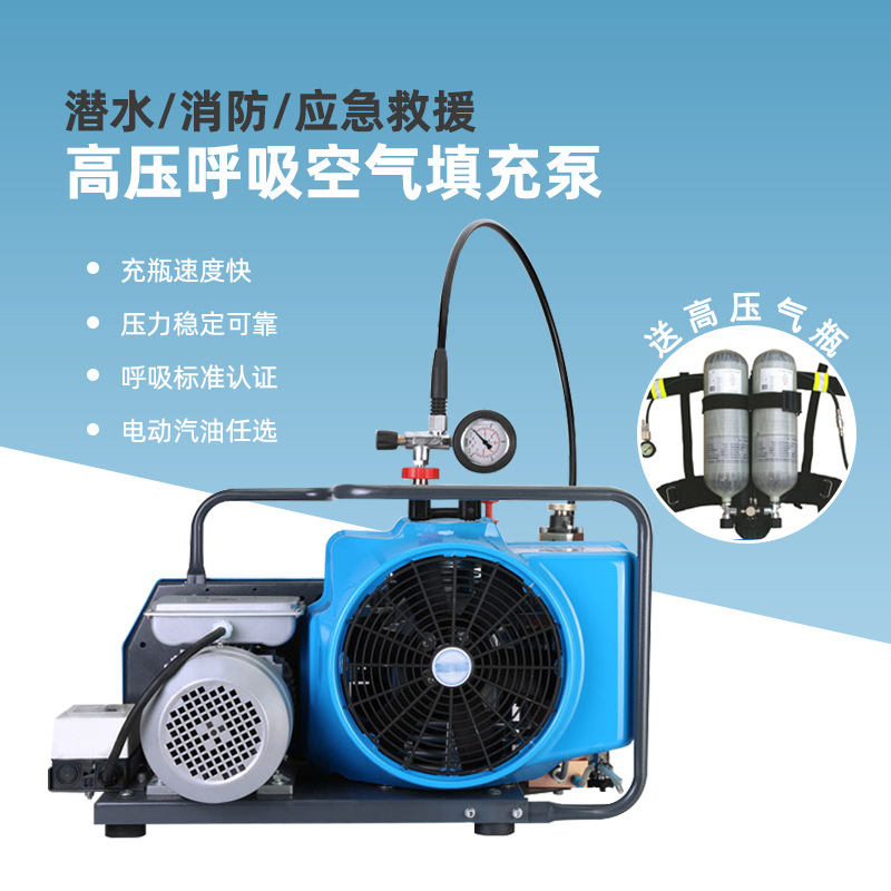 【呼吸空气填充泵】潜水消防应急救援压缩机空压机工业级空压机