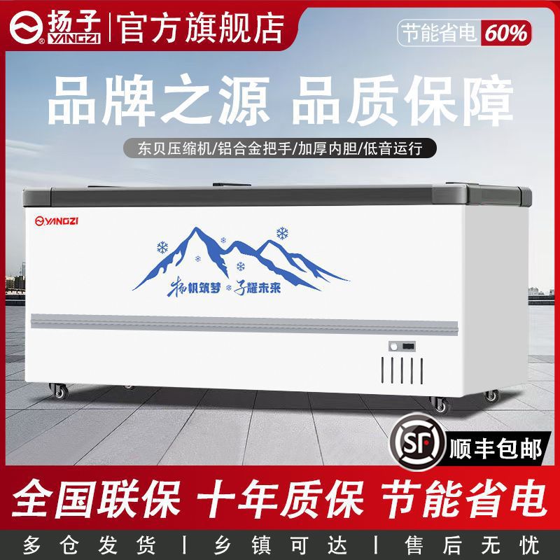 杨子冷藏展示柜扬子商用冷藏冷冻双温展示柜双控卧柜商场两用冰箱