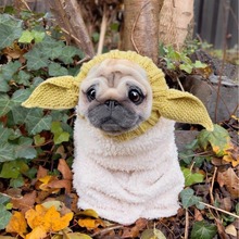 现货秋冬恐龙保暖防风万圣节针织法斗狗狗帽子 热卖新款宠物头套