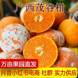 其他水果;梨;番薯类