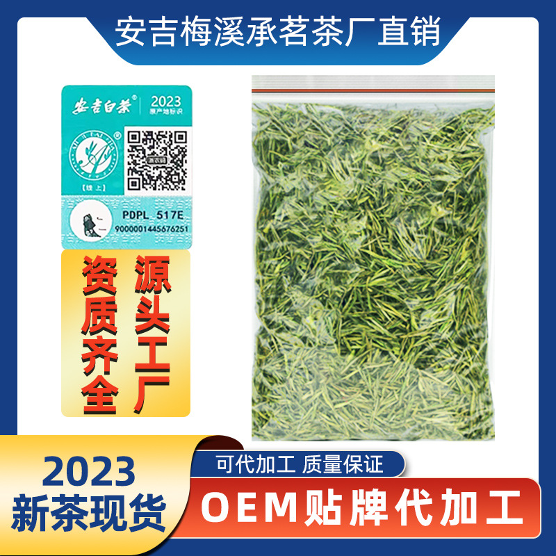 现货正宗明前特级安吉白茶批发2025新茶安吉白茶黄金叶厂家直销散