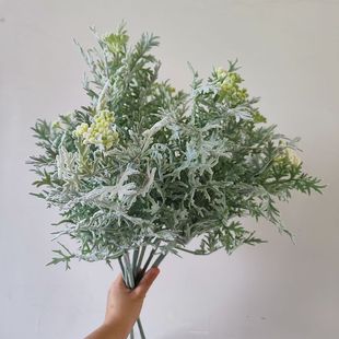 �����y�~�� ֲ�q�ߙn�~�� �����Ե��� diy���滨���b��Ĕz����