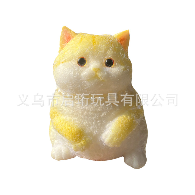 Super lindo gato gordo pellizco pellizco pelliz