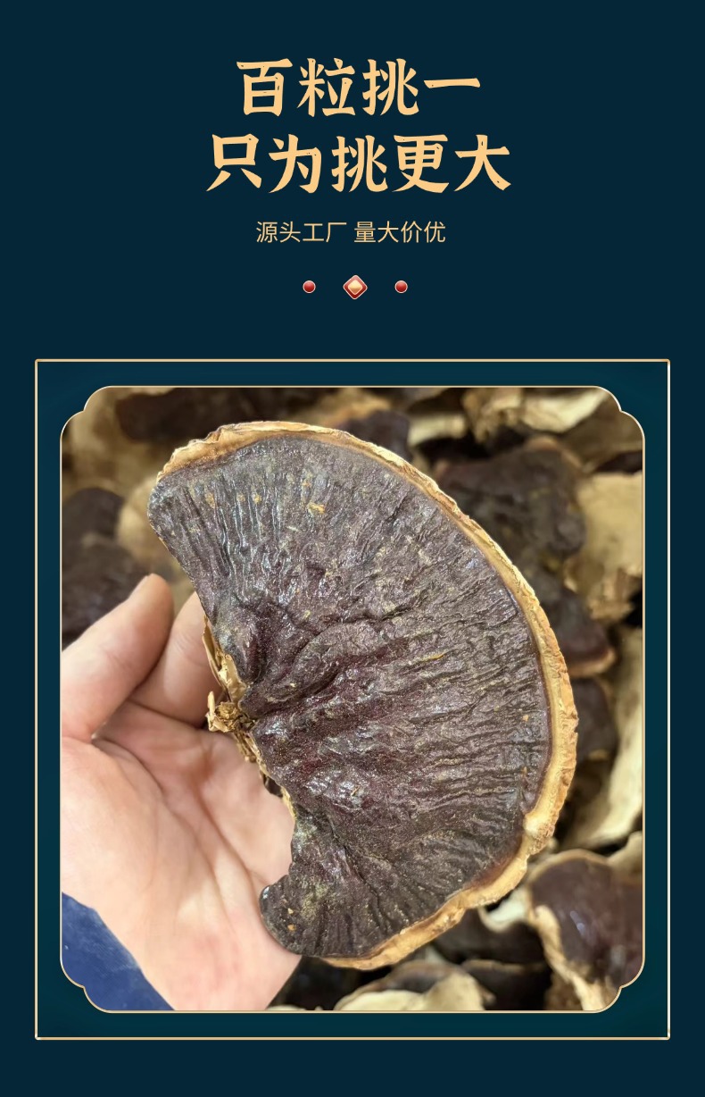 Dried Reishi Mushroom Slices Golden Edge Lingzhi 250g Natural Sun Dried Factory Direct quality and texture
