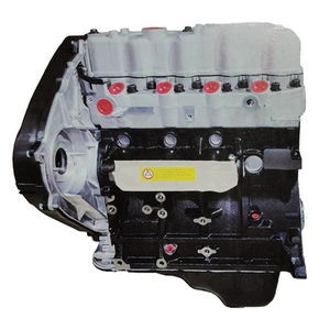 Dizel Mühərriki 4D56/D4Bb/D4Bh Böyük Qabarıq Maşın Yığılması 2.5t