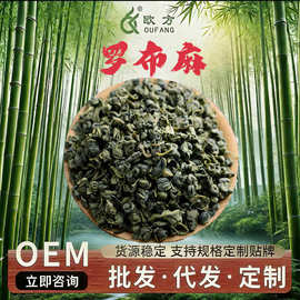 一件代发正宗野外生新疆正巴楚罗布麻茶 头茬嫩叶养生茶叶批发