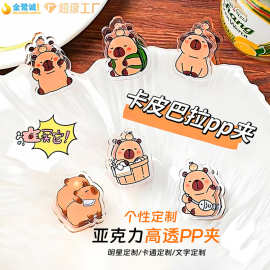 亚克力PP夹定制明星动漫卡通夹子diy便签夹照片夹手帐定做小夹子