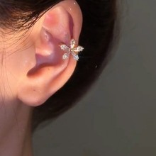 �ʯ������A2025���Ķ���Ů���M��p��С������ǊA�o�����¿�