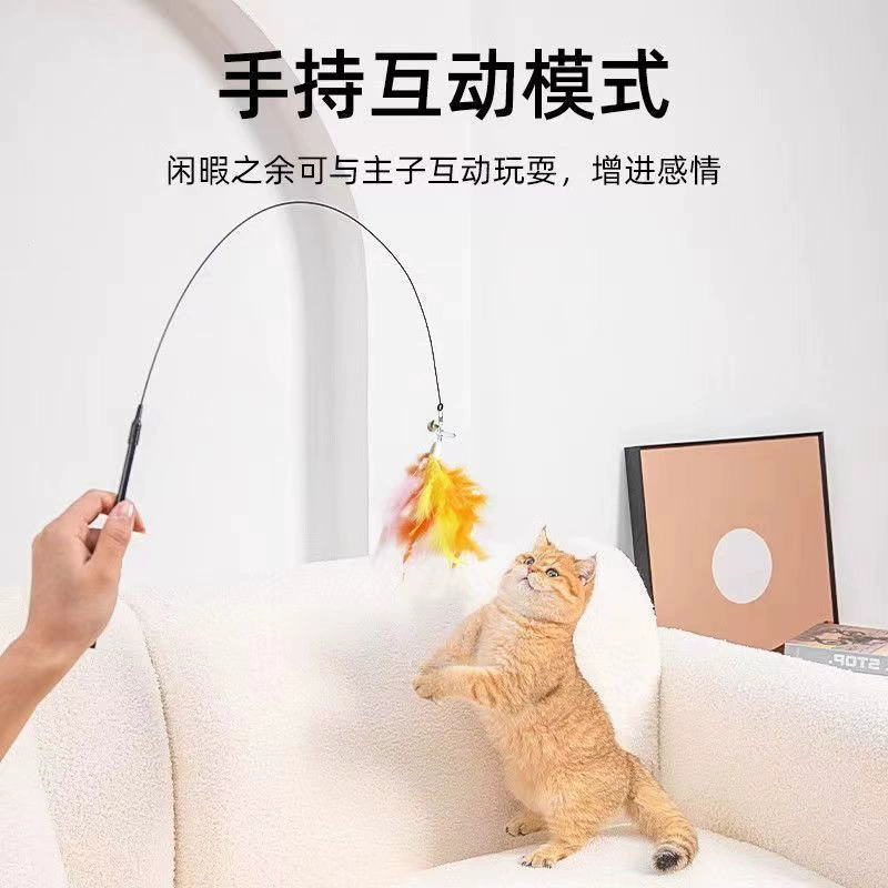 Toy, durable changeable steel wire, cat, new collection