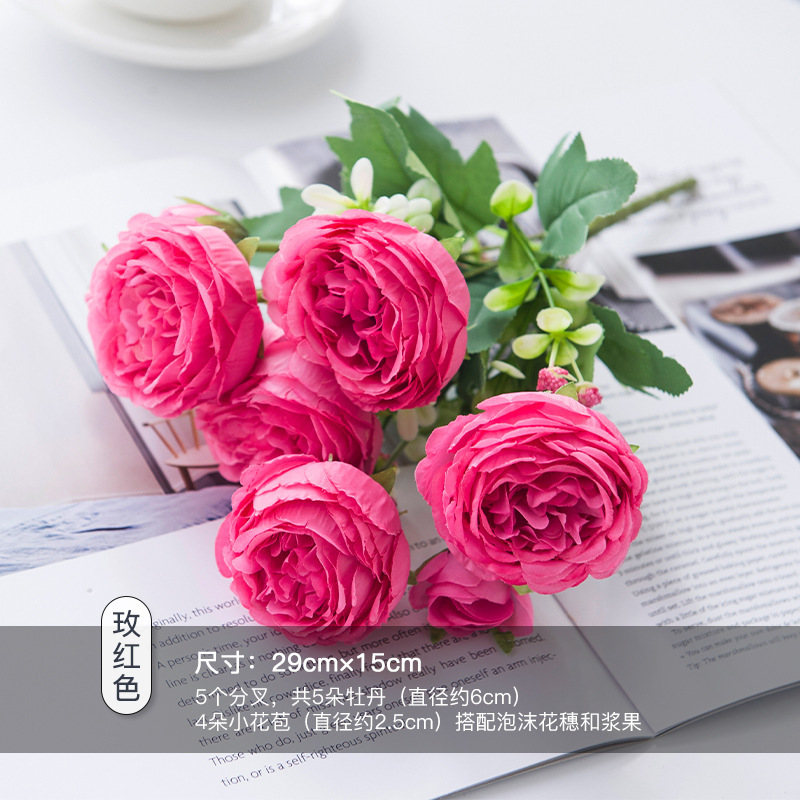 큰 모란 5개/로즈 레드