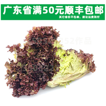 ���r�t�~���� �t�~�n�� ���~���� �të �t߅���� �tɺ������/250g