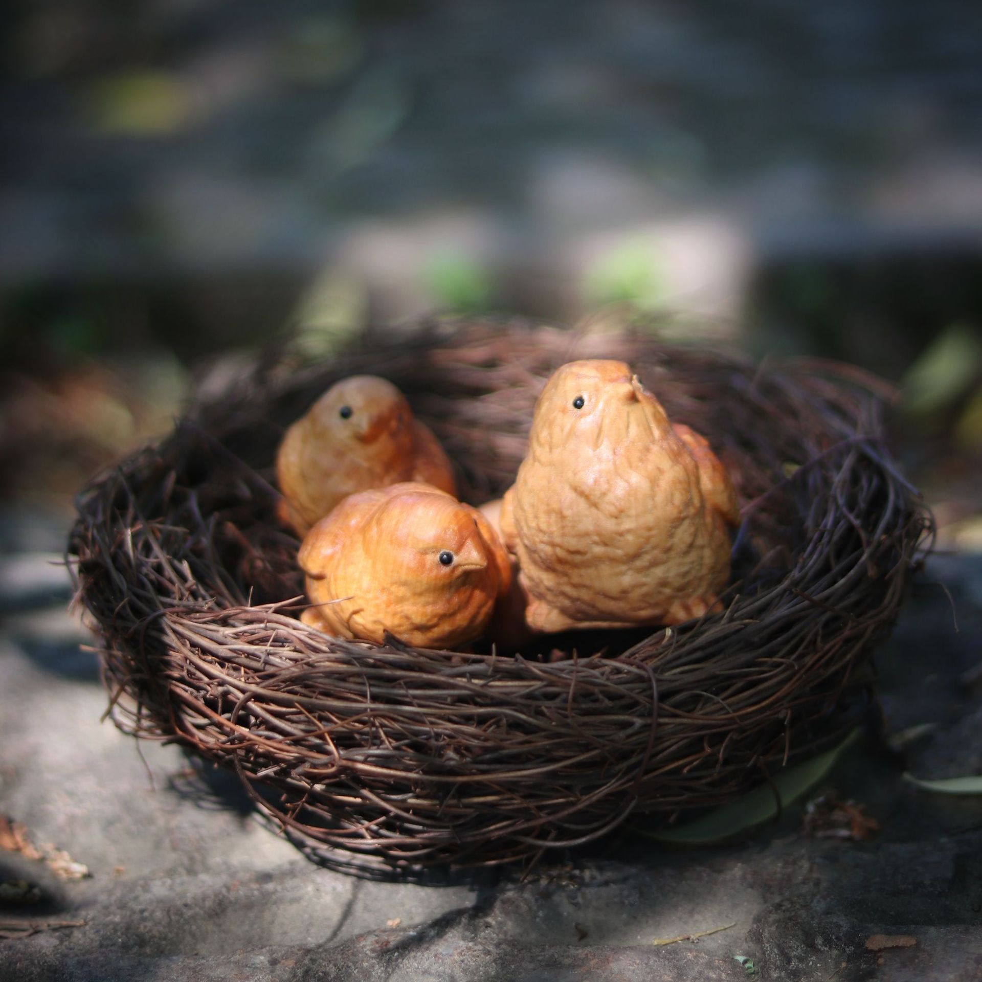 O1CN010OGqb51wWJzVh8VDe_!!944566315-0-cib.jpg?__r__=1682575831719