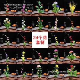 酒店意境菜品冷菜盘饰餐饮刺身摆盘装饰花草创意小摆件寿司点缀花