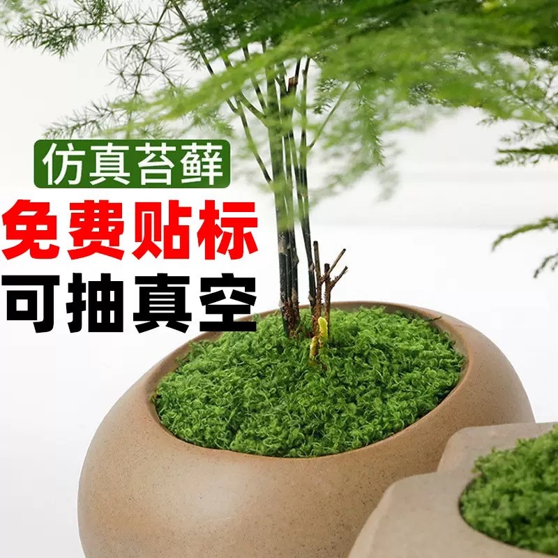 仿真苔藓草皮仿生人造假青苔微景观布置摆件草坪盆景盆栽铺面造景