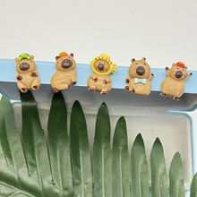 ��Ƥ������������diy�����z�֙C��Ь�۰l�A������֬�Ʒ���