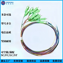 宏脉普天光纤单模12芯SC束状尾纤APC12色ODF盘专用适配广电专用