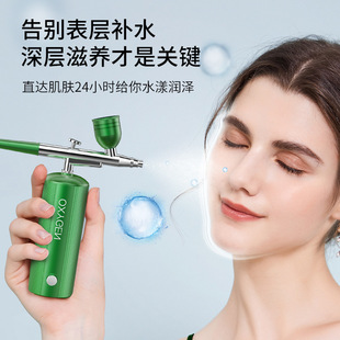 Oxygen Intoxicator Portable Hydrating Spray Beauty Salon Household Hand-held Face High Pressure Water and Oxygen Introduction Special Essence
