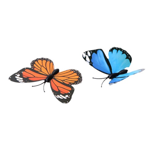 Funi Colorful Butterfly Magnetic Magnet Refrigerator Magnet Insect Magnetic Sticker Magnetic Teaching Home Creative Refrigerator Magnet