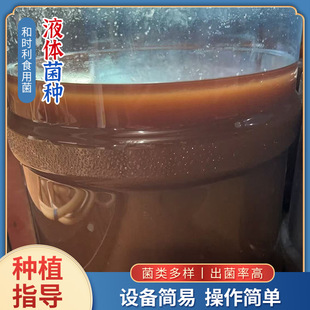 ɽ�|Һ�w���N�Ƃ�ԭ�N����Һ�w���N��ƽ���Һ�ƽ��������������