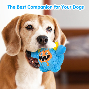 Factory Straight Hair Funny Ugly Cute Pet Puppy Toy Decompression Voice TPR Bounce Toy Ball Holiday Gift