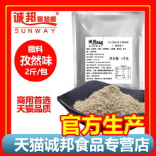 诚邦孜然粉商用鸡排烧烤调料撒粉复合撒料粉香辣蘸料甘梅子粉