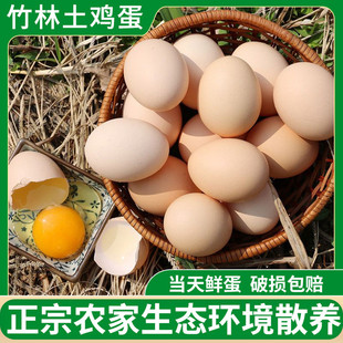 ����S�����Aɽ����ɢ�B���u�����B�r�ҹ���50ö���r�߲˴��l�u��