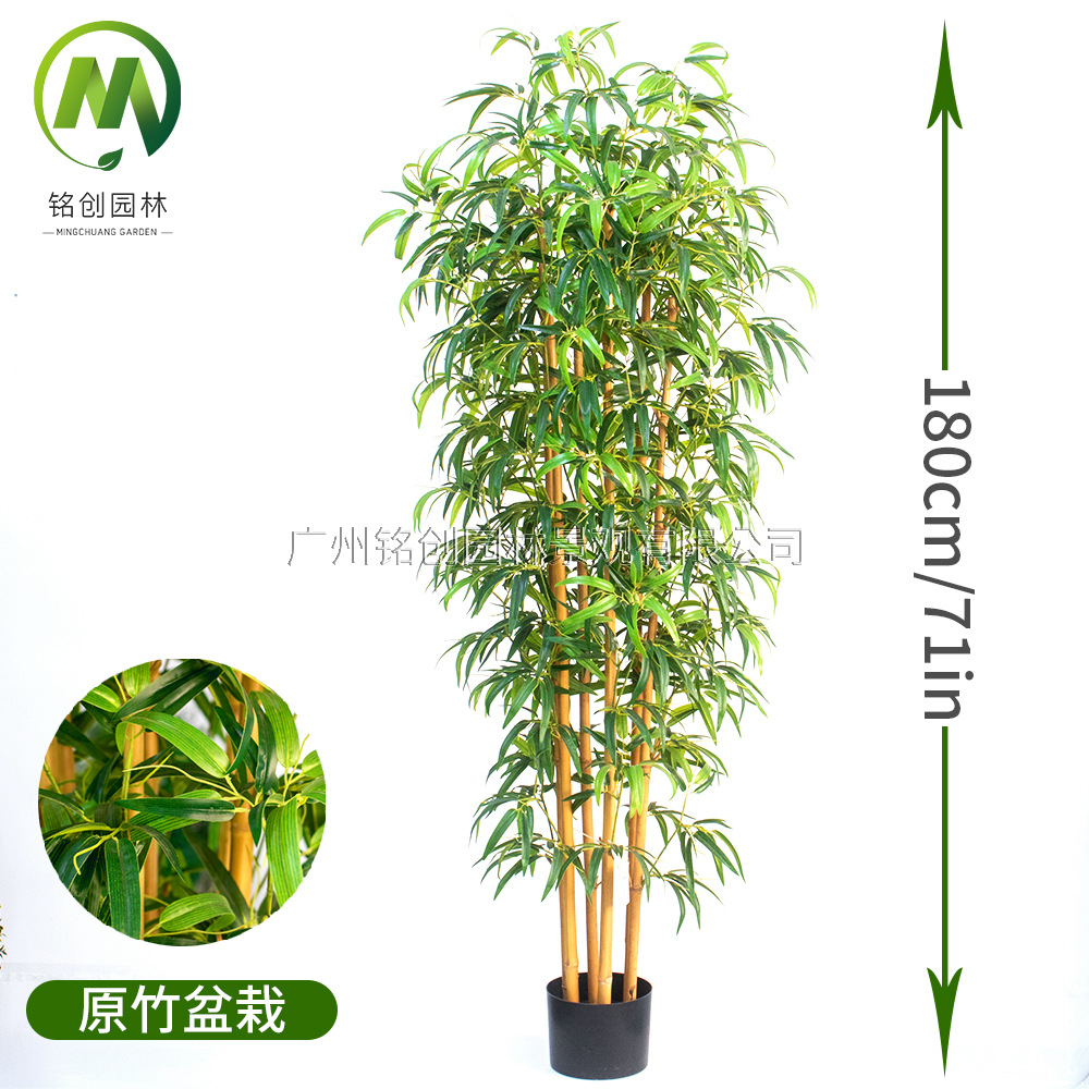 Simulación de plantas verdes y paisajismo Bambú falso Simulación de plantas en macetas Simulación de plantas verdes falsas Paisajes Bambú Bonsai