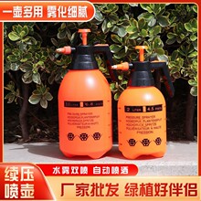 厂家2L3L手持式气压式喷雾器喷壶洒水壶浇花壶浇花瓶园艺消毒工具