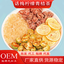 话梅柠檬茶百香果金桔冻干水果茶冲泡泡水的东西花果花茶茶包