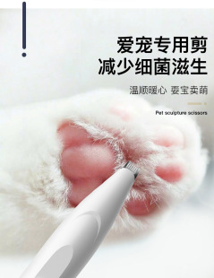 ������Ƽ�؈�����_ë�����ù�����ë������늄��o��؈צ���_����