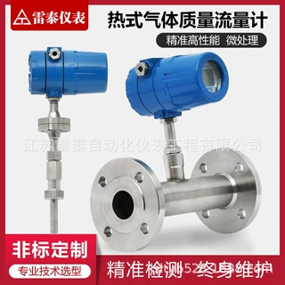 热式气体质量流量计TS监检证书高精度管道式质量计氢气天然气氧气